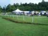 satmorning_800x600_small.jpg