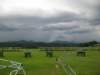 stormcometh_800x600_small.jpg