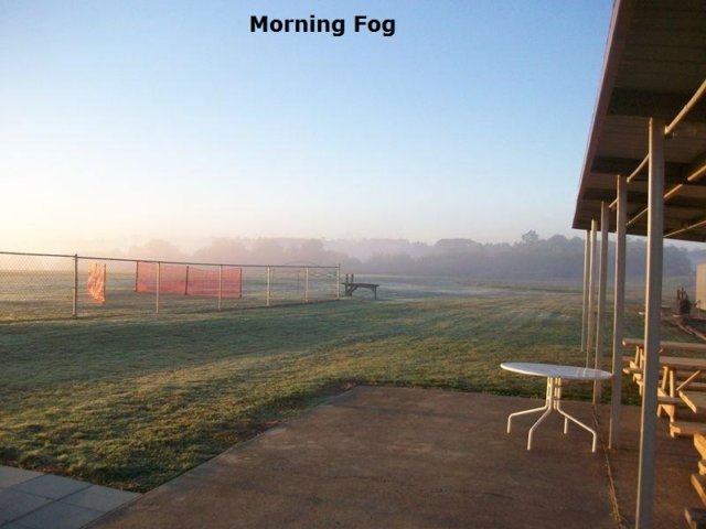 foggymorn.jpg