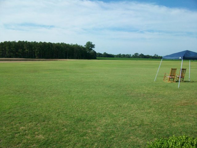 beautifulhodges.jpg