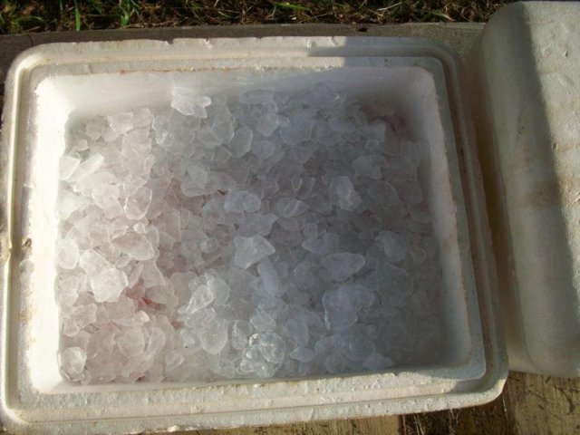 iceonsaturday.jpg